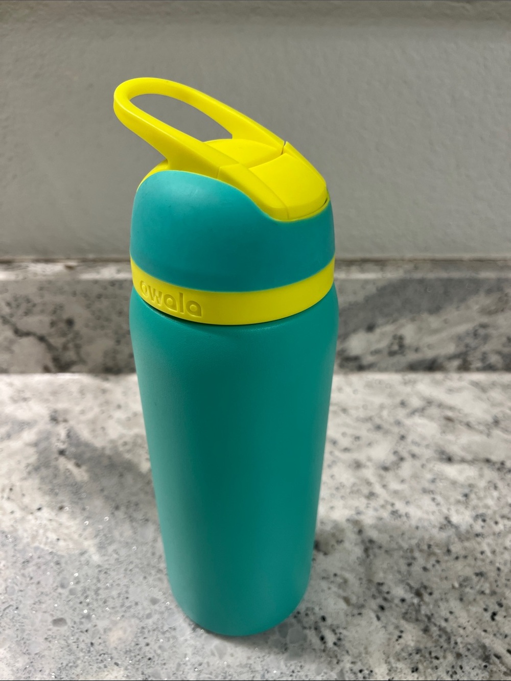 Owala 32 Oz Freesip Neon Basil - Picture 13 of 16